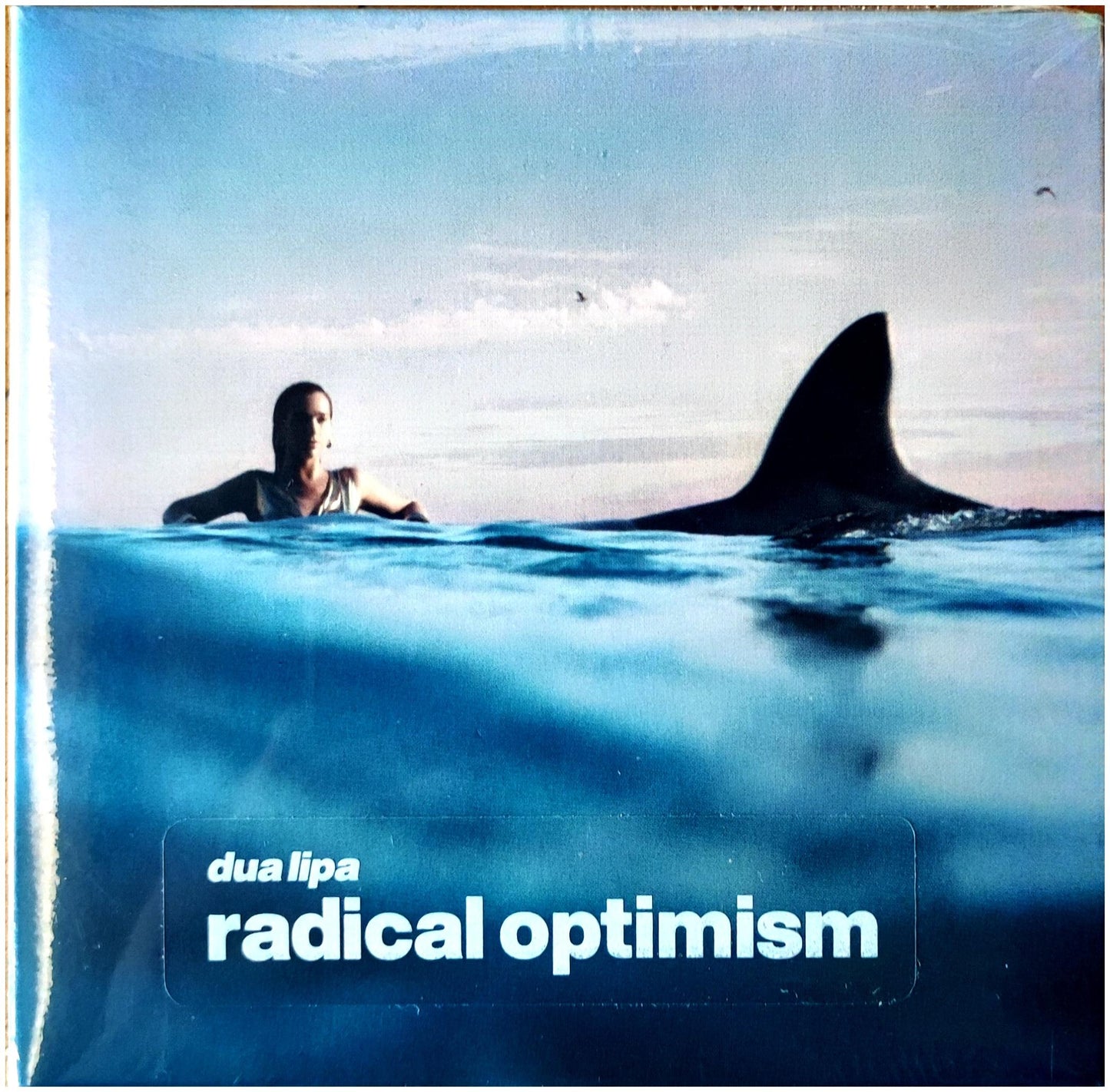 DUA LIPA - RADICAL OPTIMISM | CD