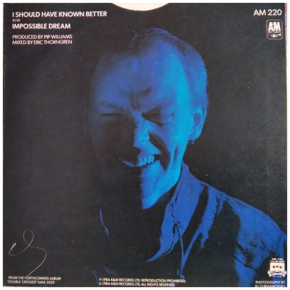 JIM DIAMOND - I SHOULD HAVE KNOWN BETTER | 7" SINGLE USADO