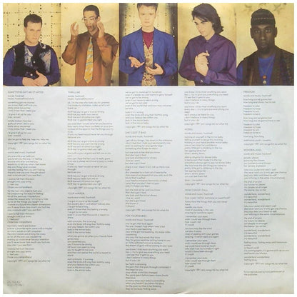 SIMPLY RED - STARS | VINILO USADO