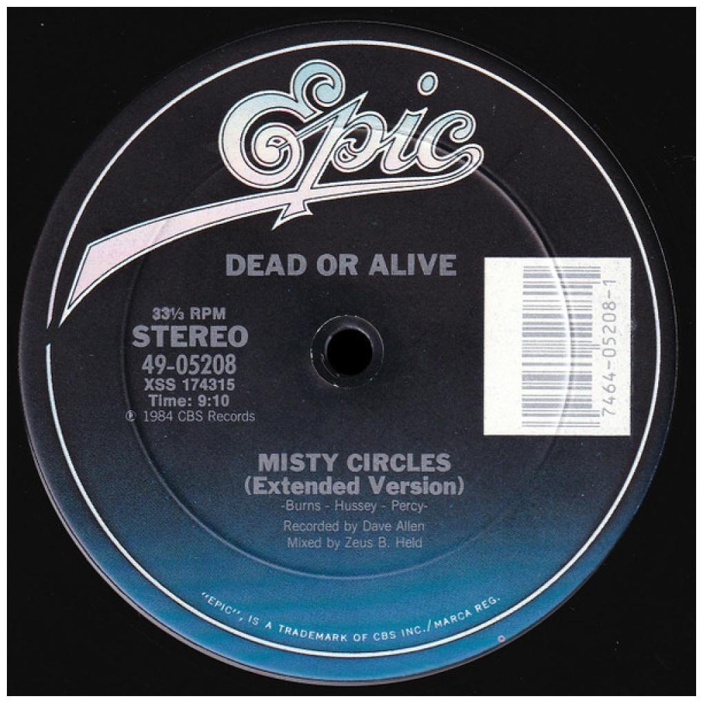 DEAD OR ALIVE - YOU SPIN ME ROUND (LIKE A RECORD) | 12" MAXI SINGLE VINILO USADO