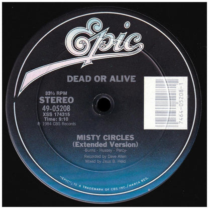 DEAD OR ALIVE - YOU SPIN ME ROUND (LIKE A RECORD) | 12" MAXI SINGLE VINILO USADO