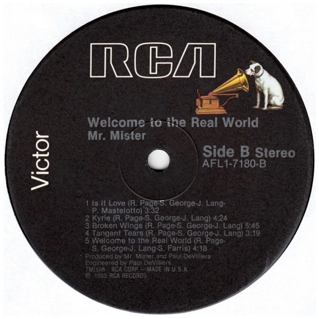 MR. MISTER - WELCOME TO THE REAL WORLD | 12" MAXI SINGLE USADO