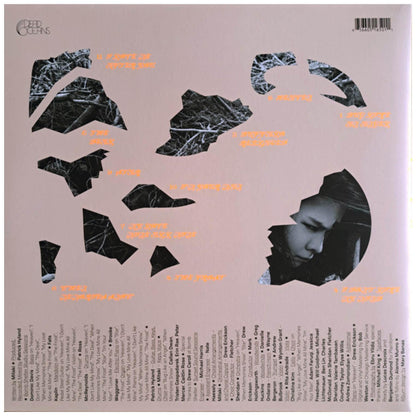 MITSKI - LAND IS INHOSPITABLE AND SO ARE WE | VINILO