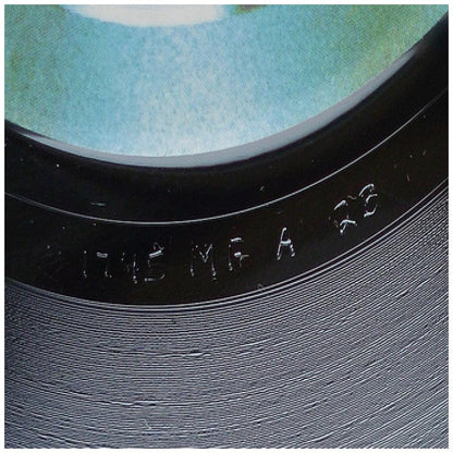 STEVIE WONDER - I JUST CALLED TO SAY I LOVE YOU | 7" SINGLE USADO