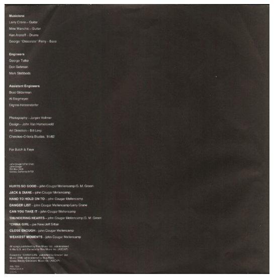 JOHN COUGAR - AMERICAN FOOL | VINILO USADO