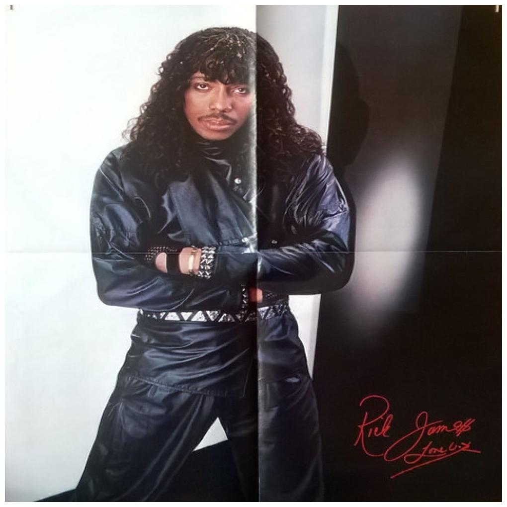 RICK JAMES - REFLECTIONS: 17 ALL THE GREATEST HITS | VINILO USADO