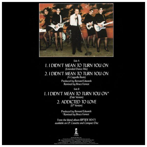 ROBERT PALMER - I DIDN T MEAN TO TURN YOU ON | 12" MAXI SINGLE USADO
