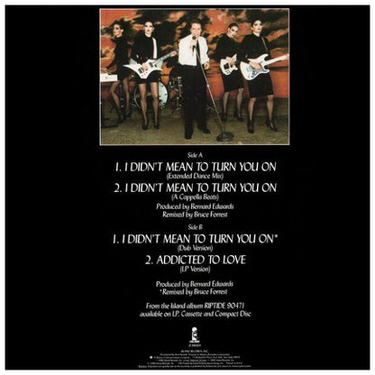ROBERT PALMER - I DIDN T MEAN TO TURN YOU ON | 12" MAXI SINGLE USADO