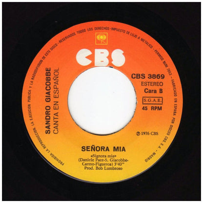 SANDRO GIACOBBE - EL JARDIN PROHIBIDO (EN ESPAÑOL/ITALIANO) (PROMO COPY) | 7" SINGLE USADO