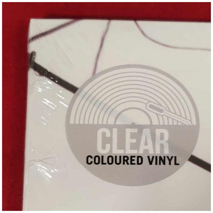 PEARL JAM - VS. (30TH ANNIVERSARY) | VINILO