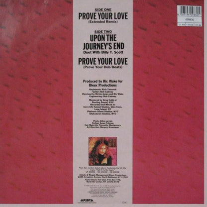 TAYLOR DAYNE - PROVE YOUR LOVE | 12" MAXI SINGLE USADO
