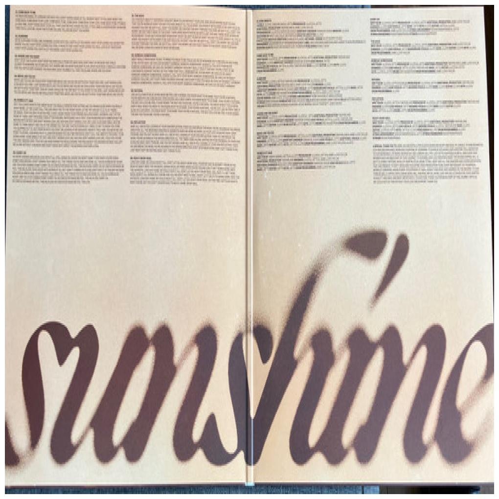 JUNGLE - SUNSHINE | VINILO