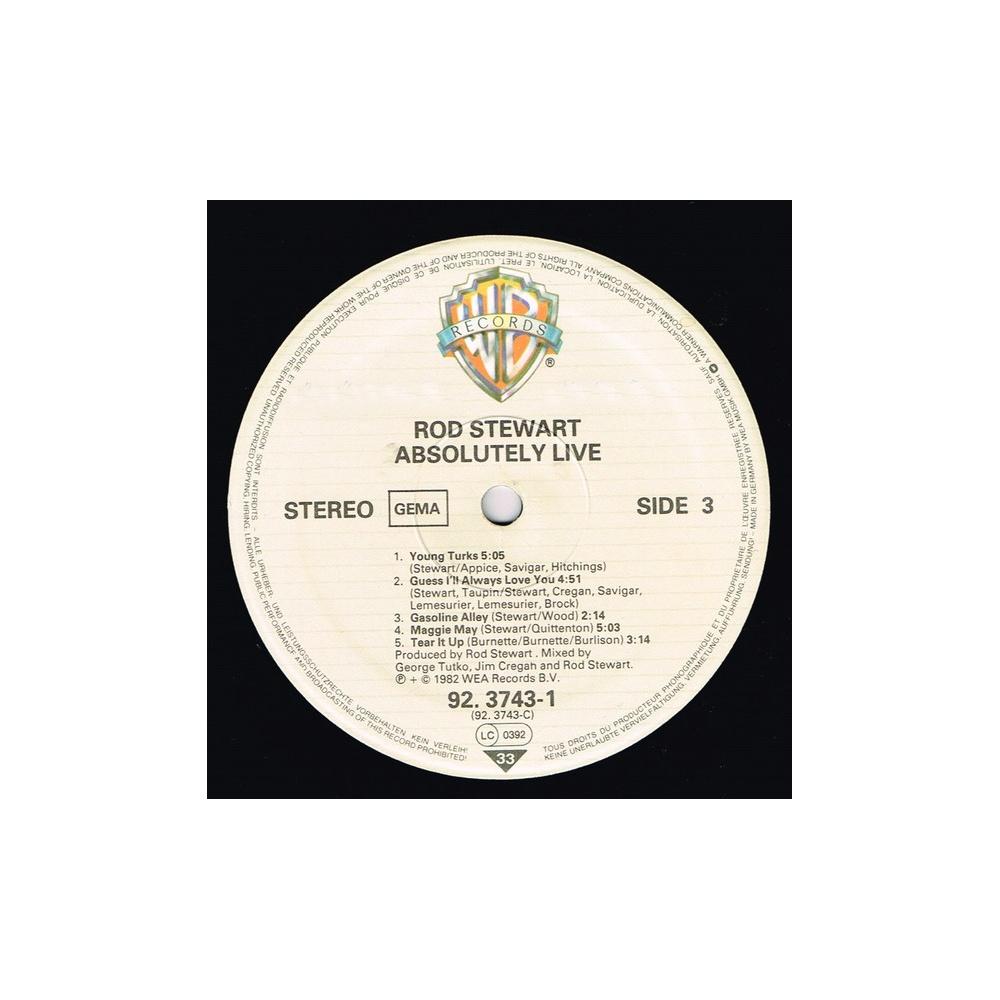 ROD STEWART - ABSOLUTELY LIVE (2LP) | VINILO USADO