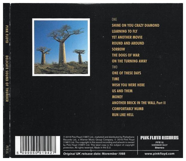 PINK FLOYD - DELICATE SOUND OF THUNDER (2CD) | CD