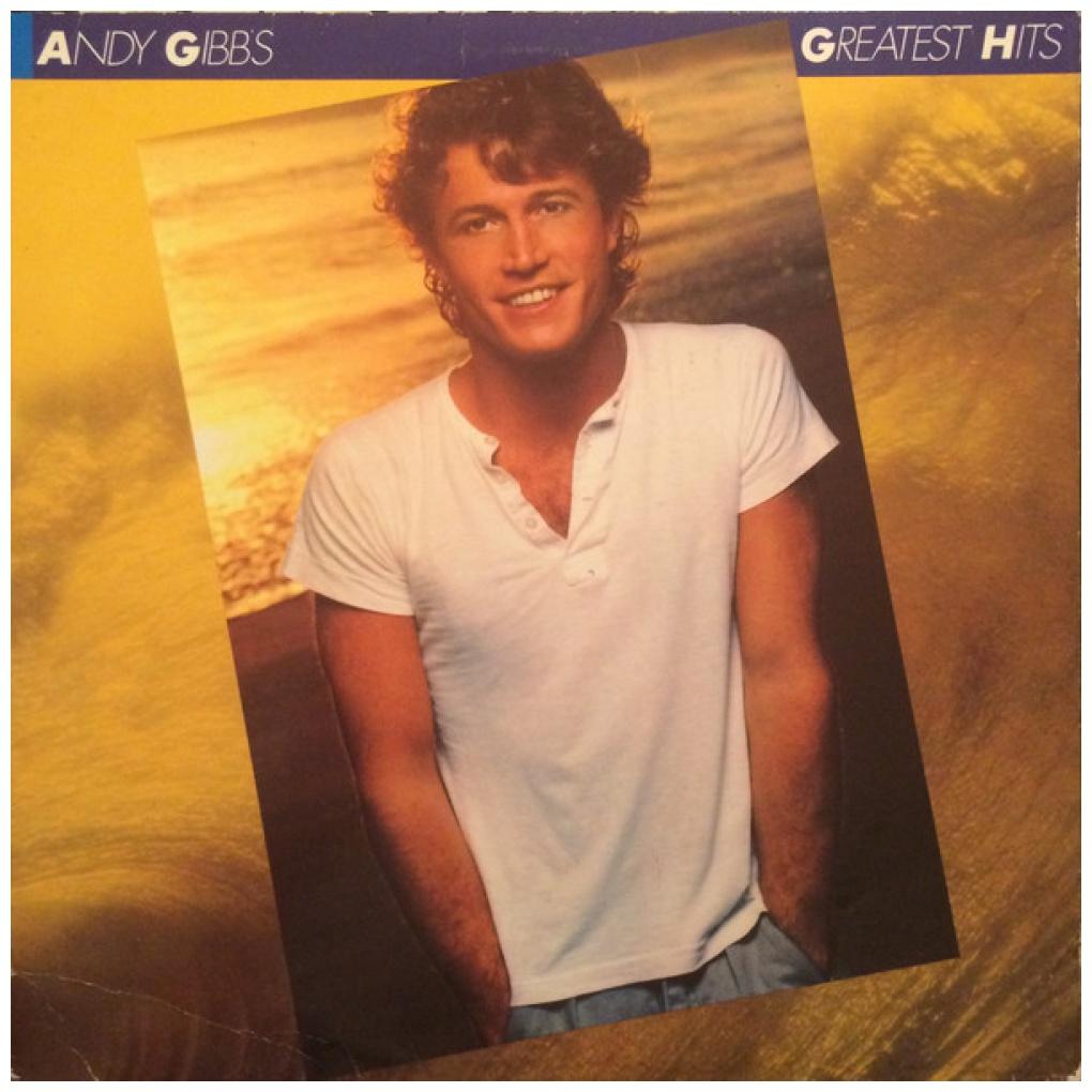 ANDY GIBB - GREATEST HITS | VINILO USADO