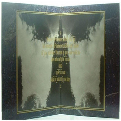 THE MISSION - GODS OWN MEDICINE | VINILO USADO