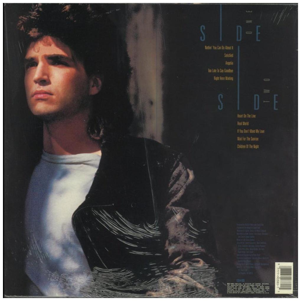 RICHARD MARX - REPEAT OFFENDER | VINILO USADO