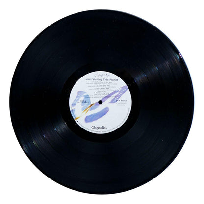 JELLYBEAN - JUST VISITING THIS PLANET | VINILO USADO