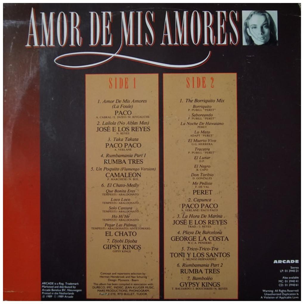 AMOR DE MIS AMORES - VARIOUS ARTIST | VINILO USADO