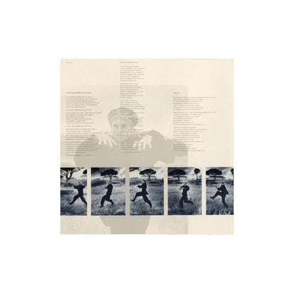 STING - THE DREAM OF THE BLUE TURTLES  | VINILO USADO