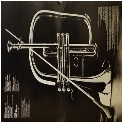 CHUCK MANGIONE - THE BEST OF (2LP) | VINILO USADO