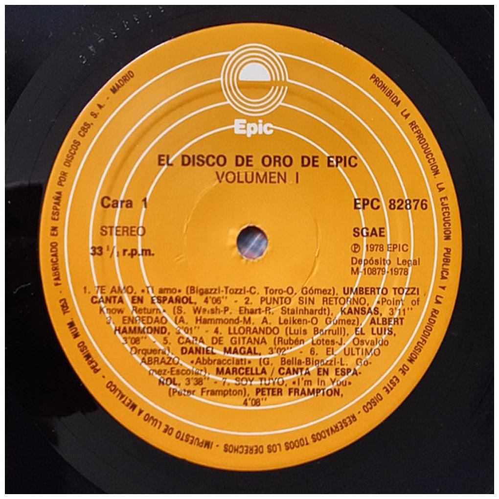 EL DISCO DE ORO DE EPIC - VARIOS ARTISTAS VOL.1 | VINILO USADO