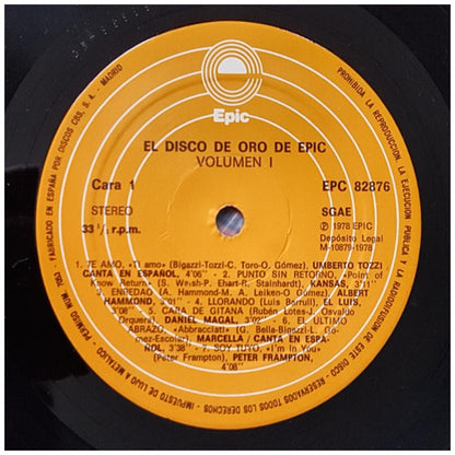 EL DISCO DE ORO DE EPIC - VARIOS ARTISTAS VOL.1 | VINILO USADO