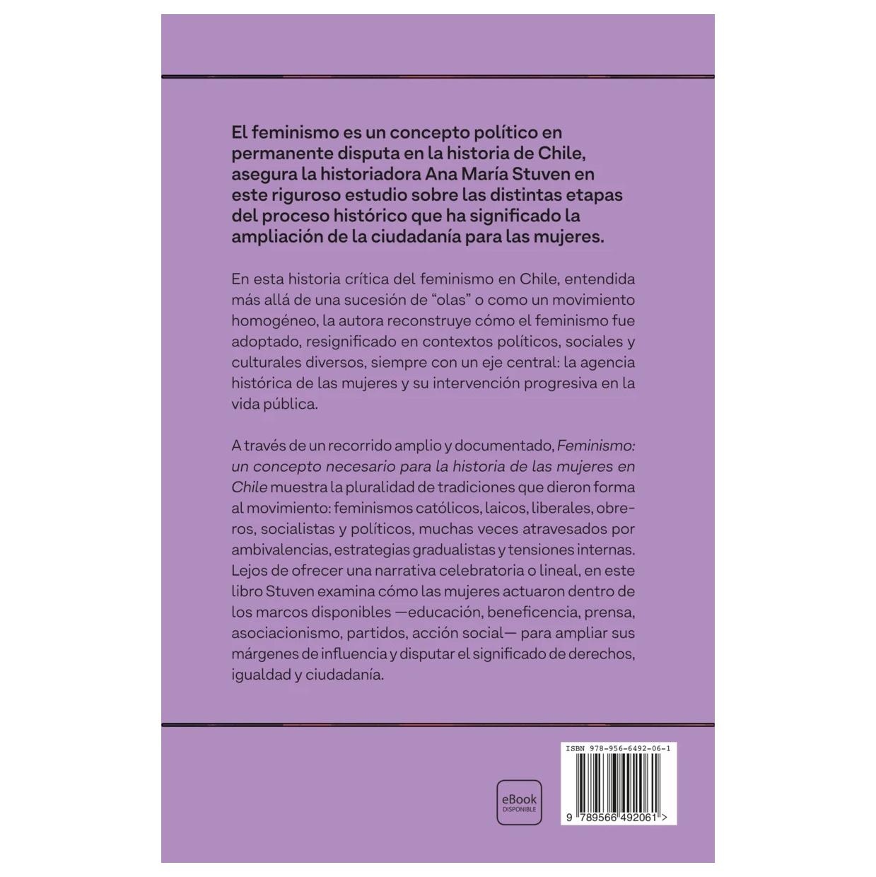 FEMINISMO (TAPA RÚSTICA) - ANA MARÍA STUVEN | LIBRO