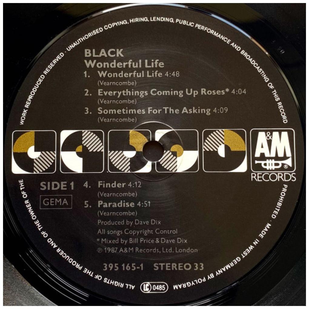 BLACK - WONDERFUL LIFE | VINILO USADO