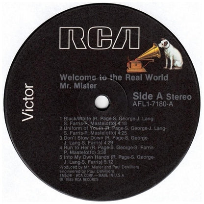 MR. MISTER - WELCOME TO THE REAL WORLD | 12" MAXI SINGLE USADO