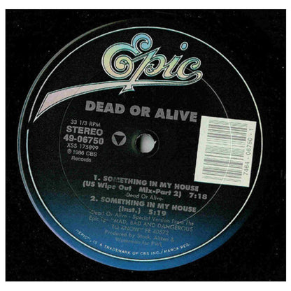 DEAD OR ALIVE - SOMETHING IN MY HOUSE | 12" MAXI SINGLE VINILO