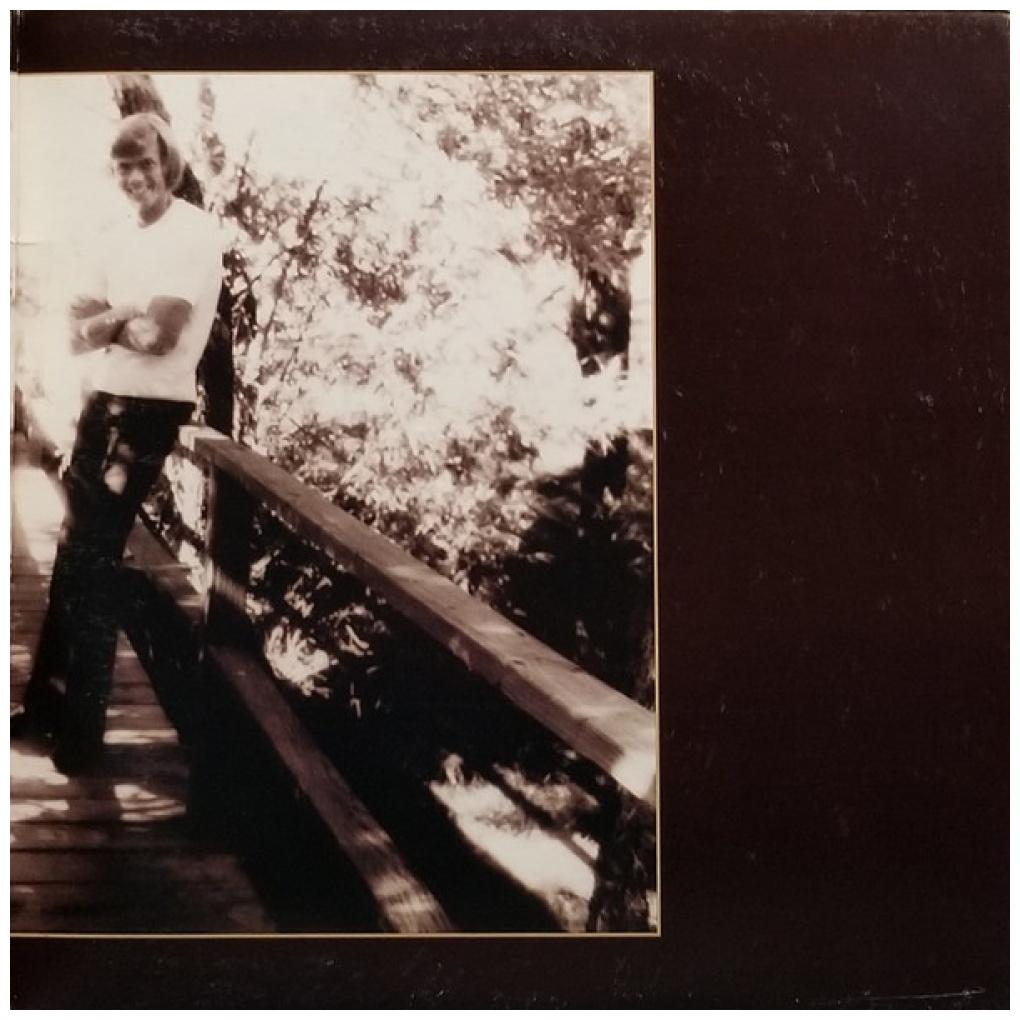 CARPENTERS - THE SINGLES 1969-1973 | VINILO USADO