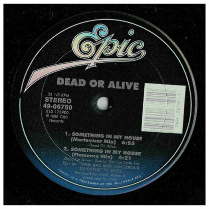 DEAD OR ALIVE - SOMETHING IN MY HOUSE | 12" MAXI SINGLE VINILO
