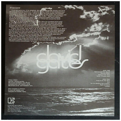 DAVID GATES - FIRST | VINILO USADO