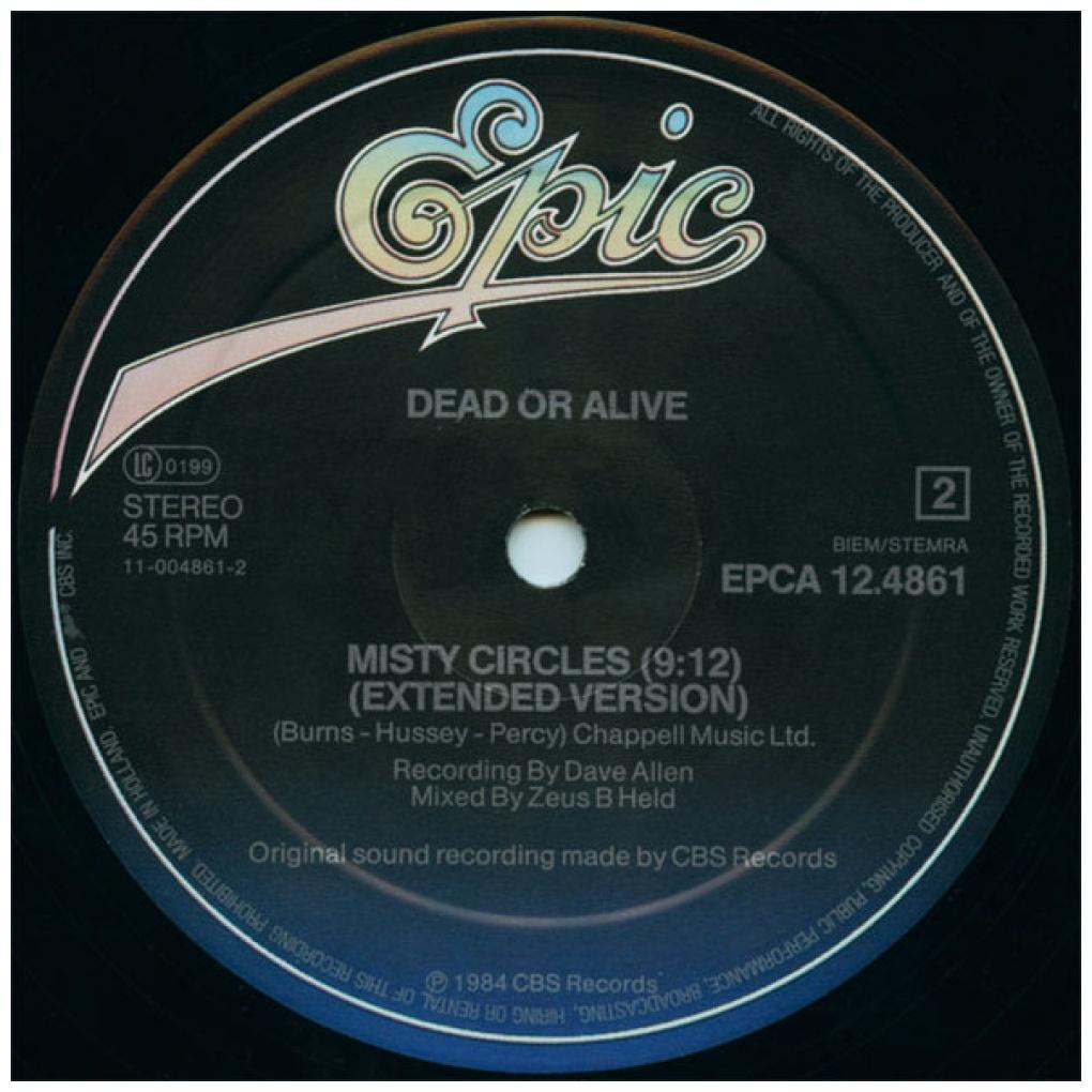 DEAD OR ALIVE - YOU SPIN ME ROUND (LIKE A RECORD) | 12'' MAXI SINGLE USADO