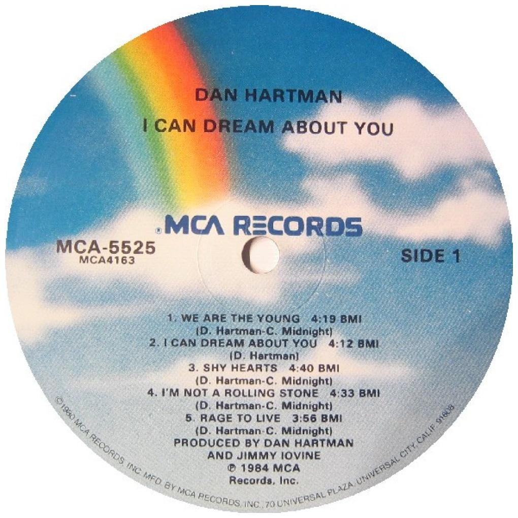 DAN HARTMAN - I CAN DREAM ABOUT YOU | VINILO USADO