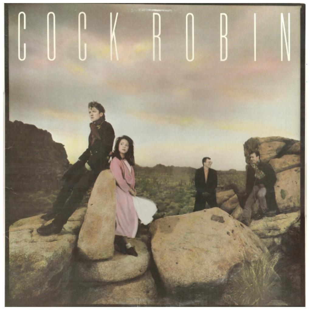 COCK ROBIN - COCK ROBIN | 7" SINGLE USADO