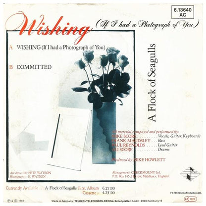 A FLOCK OF SEAGULLS - WISHING | 7   SINGLE VINILO USADO