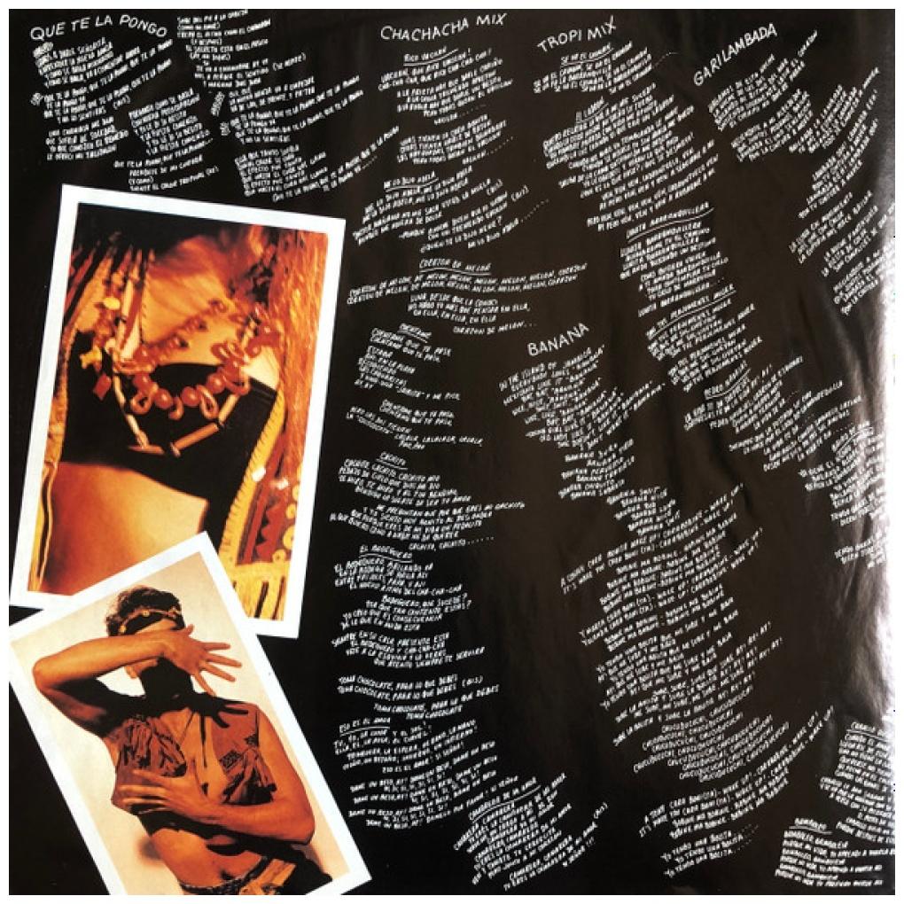 GARIBALDI - QUE TE LA PONGO | VINILO USADO