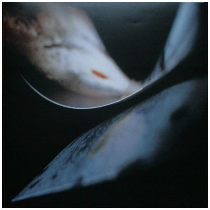 COCTEAU TWINS - STARS AND TOPSOIL: A COLLECTION 1982-1990 (2LP) | VINILO
