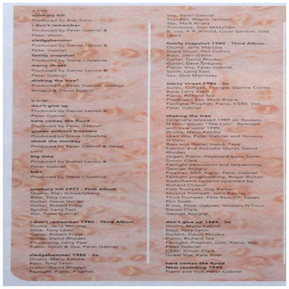 PETER GABRIEL - SHAKING THE TREE: TWELVE GOLDEN GREATS | VINILO USADO