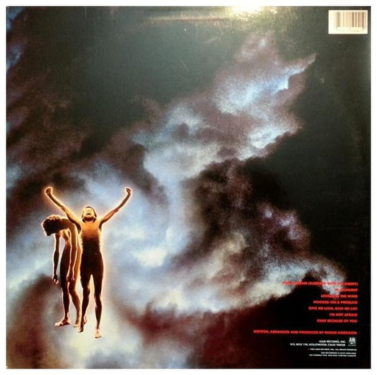 ROGER HODGSON - IN THE EYE OF THE STORM | VINILO USADO