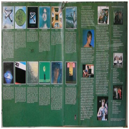 MIKE OLDFIELD - THE COMPLETE COLLECTION (2LP) | VINILO USADO