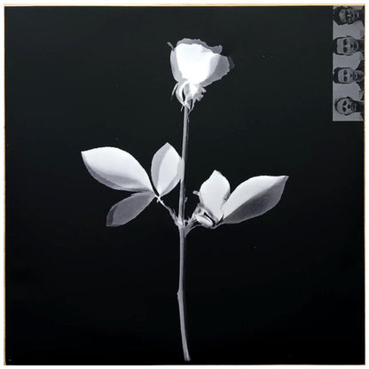 DEPECHE MODE - VIOLATOR | VINILO