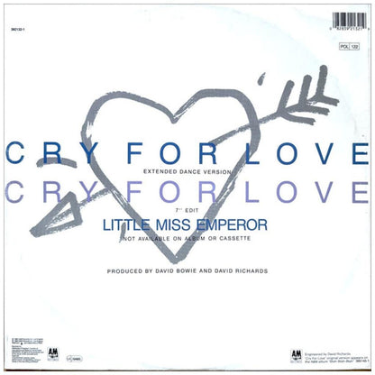 IGGY POP - CRY FOR LOVE | 12'' MAXI SINGLE USADO