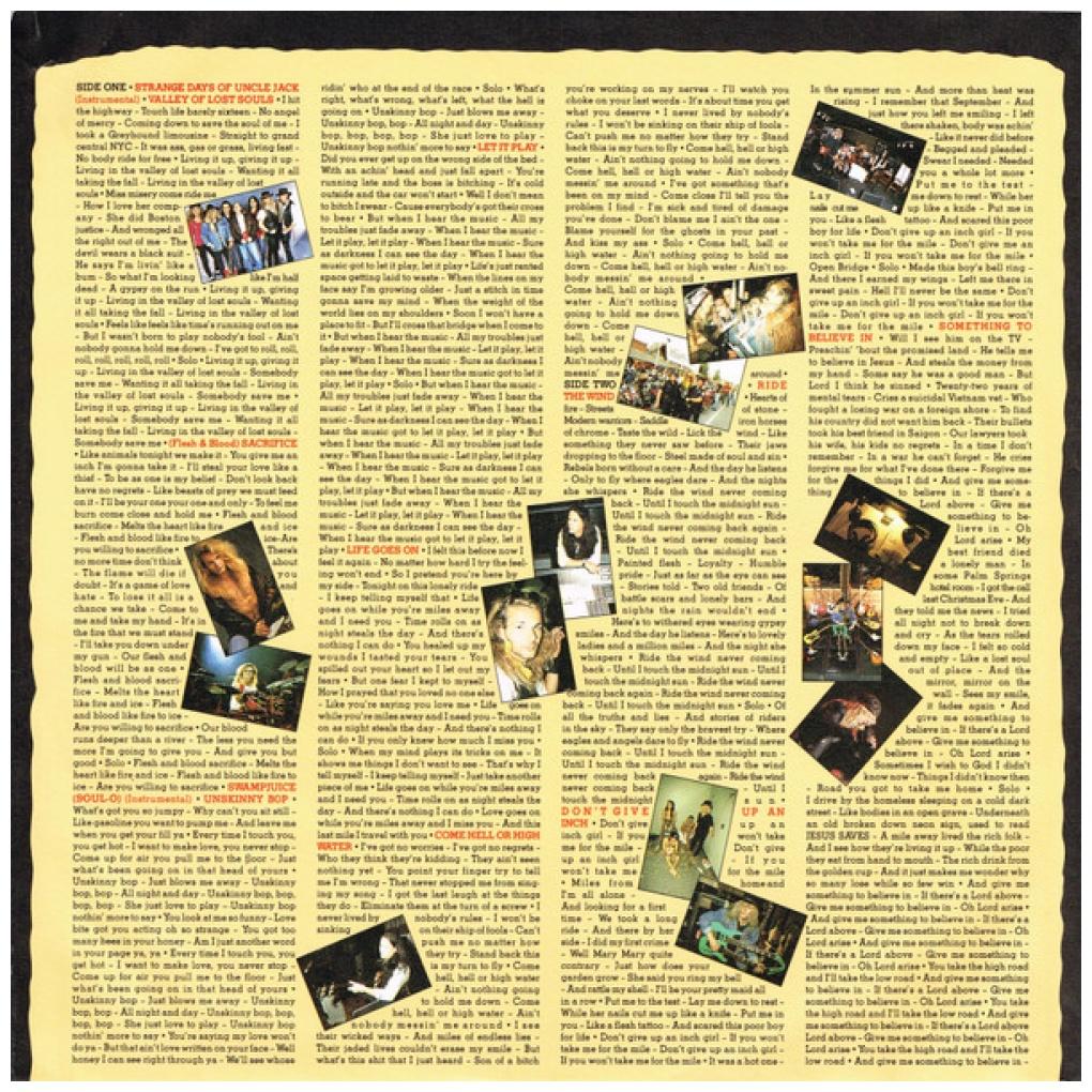 POISON - FLESH & BLOOD | VINILO USADO