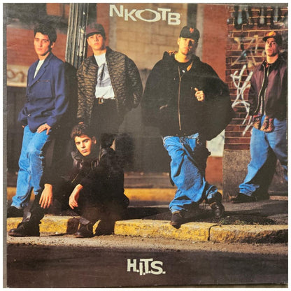 NEW KIDS ON THE BLOCK - HITS | VINILO USADO