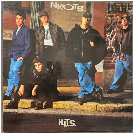 NEW KIDS ON THE BLOCK - HITS | VINILO USADO