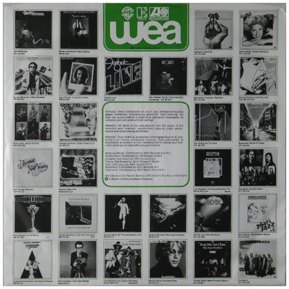 THE TRAMPS - THE BEST OF | VINILO USADO