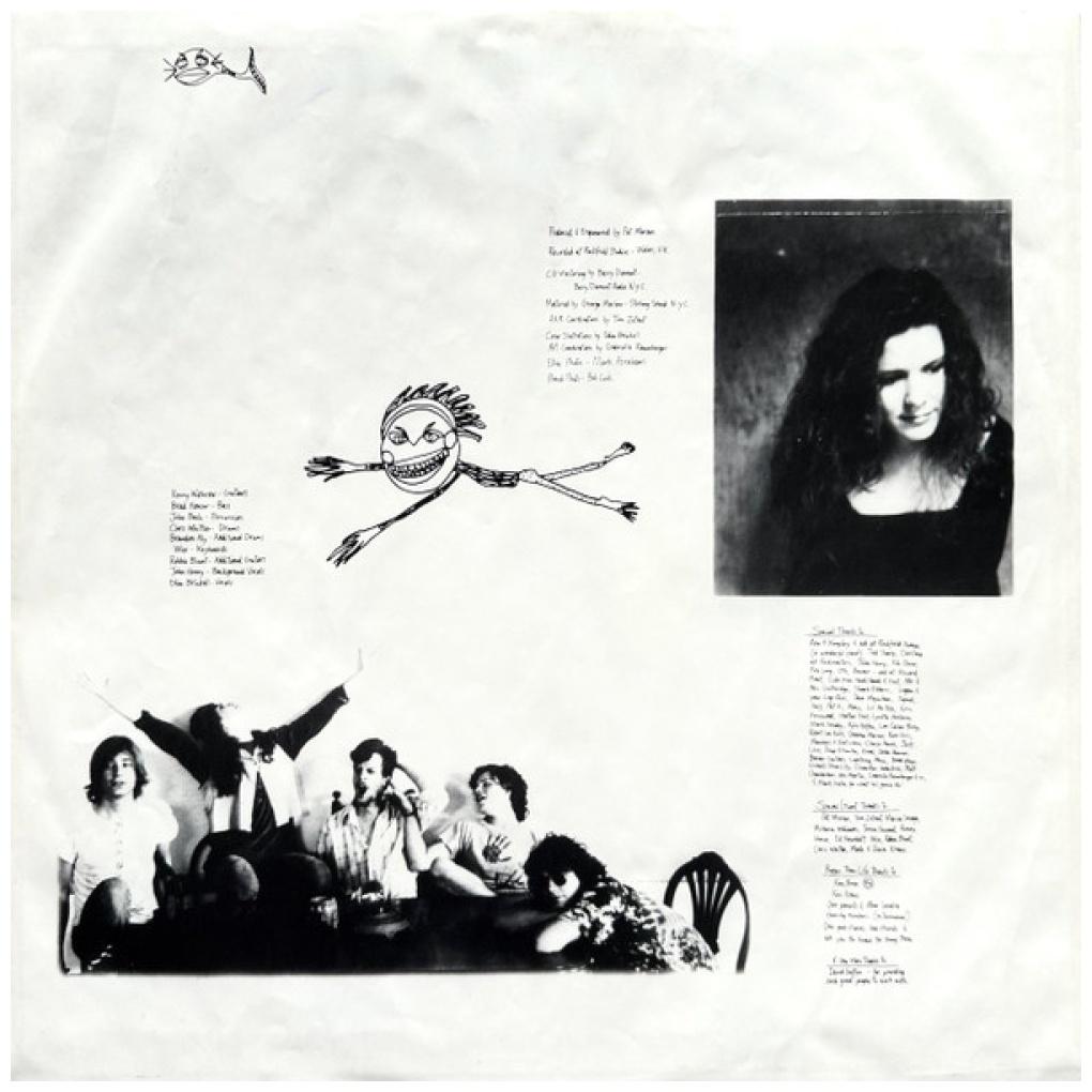 EDIE BRICKELL & THE NEW BOHEMIANS - SHOOTING RUBBERBANS AT THE STARS | VINILO USADO
